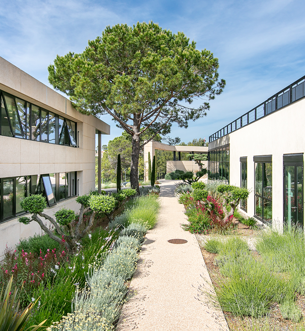 Sophia antipolis, B'coworker, coworking, domiciliation