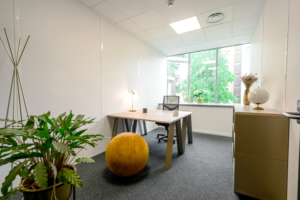 bureau prive, dijon, bcoworker, coworking