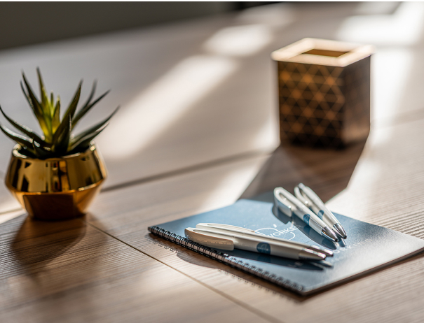 coworker, coworking, lille sud (1)