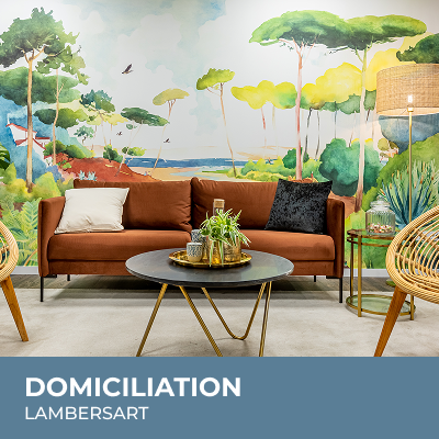Cliquer pour importer - Domiciliation Lambersart